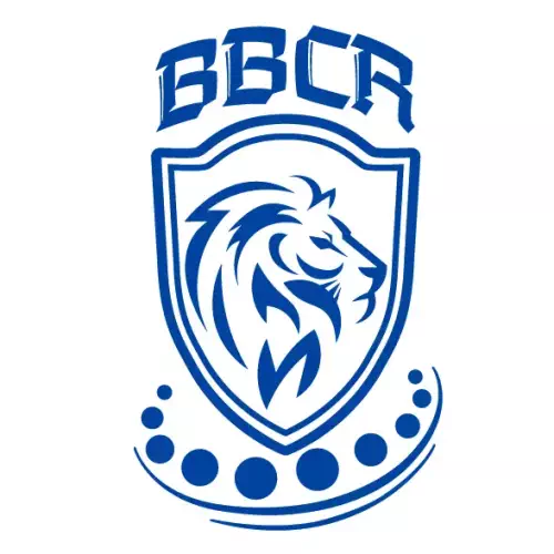 Подшипники BBCR Подшипники BBCR